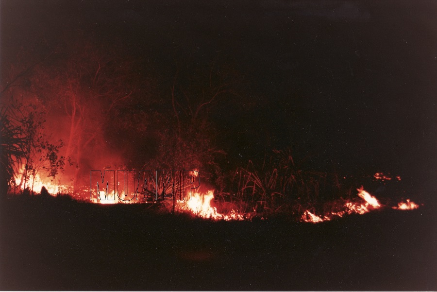 Bush Fire NT 1990